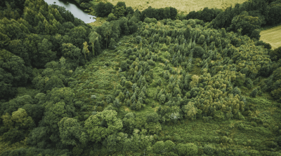 ATMI s�engage pour les for�ts avec EcoTree