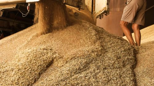 Comment d�tecter le niveau lors du stockage des c�r�ales ? 