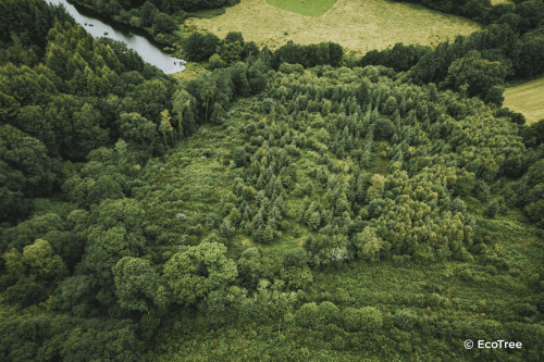 ATMI s�engage pour les for�ts avec EcoTree
