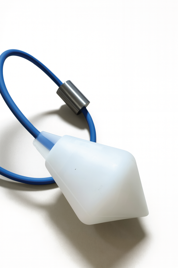 2005 : La s�curit� sanitaire